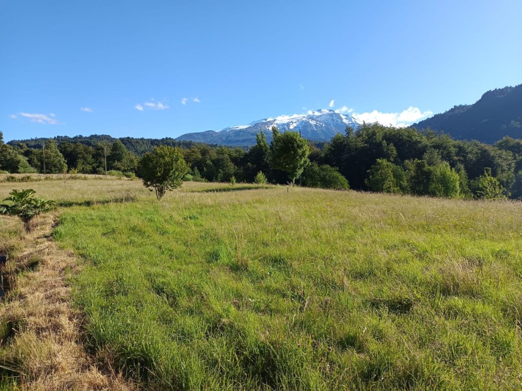 Fotografía de 🌿 Venta de Parcelas en Neltume – Reserva Huilo Huilo 🌿