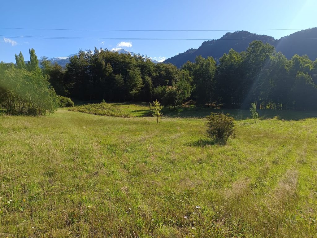 Fotografía de 🌿 Venta de Parcelas en Neltume – Reserva Huilo Huilo 🌿
