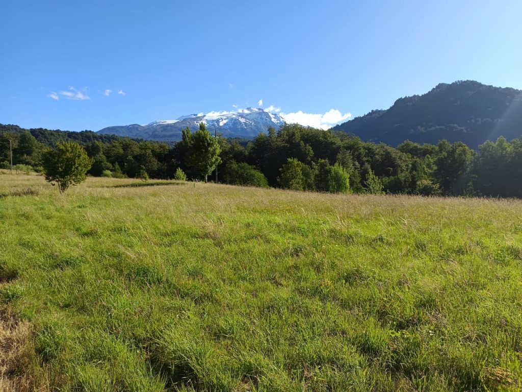 Fotografía de 🌿 Venta de Parcelas en Neltume – Reserva Huilo Huilo 🌿