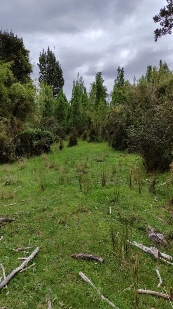 Fotografía de Parcelas en Chiloé – Sector aguas buenas