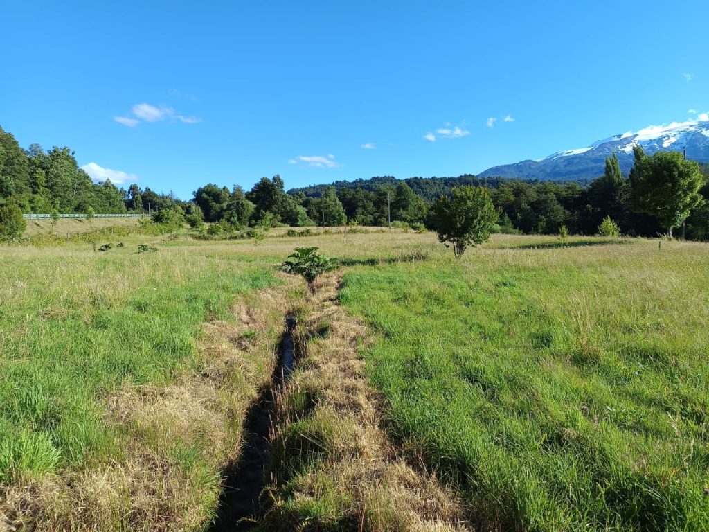 Fotografía de 🌿 Venta de Parcelas en Neltume – Reserva Huilo Huilo 🌿